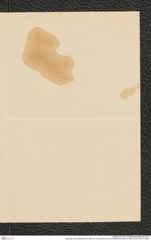 Nachlass Franz Steindachner, Brief von Conrad Will an Franz Steindachner (06.10.1890), Inv.Nr. 597.01, Seite 3